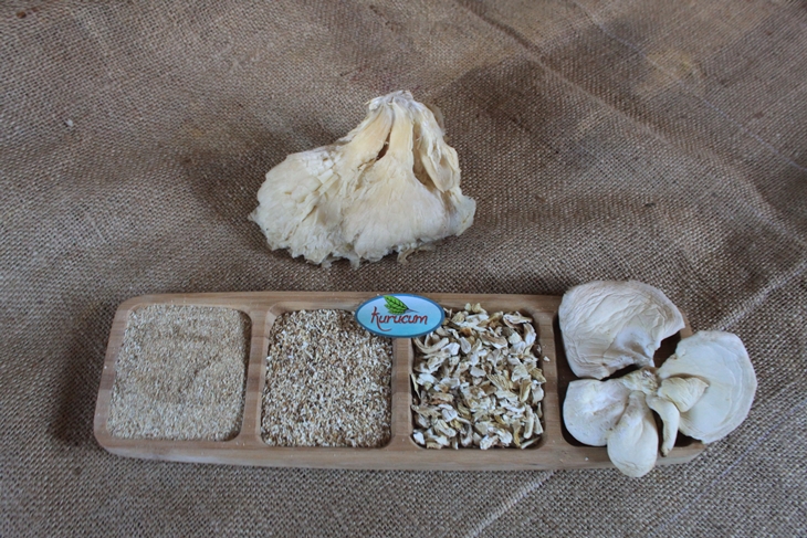 dried oyster mushroom-1